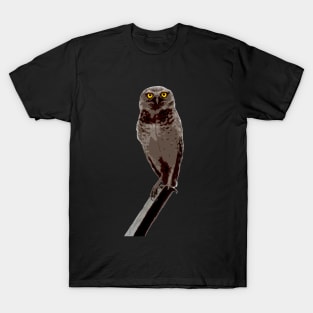 owl T-Shirt